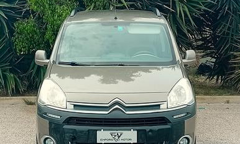 Citroen Berlingo Mul...