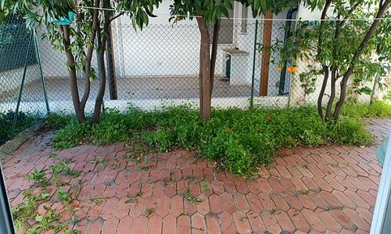 Appartamento P.t. Vi...