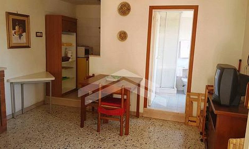 Appartamento - Campo...