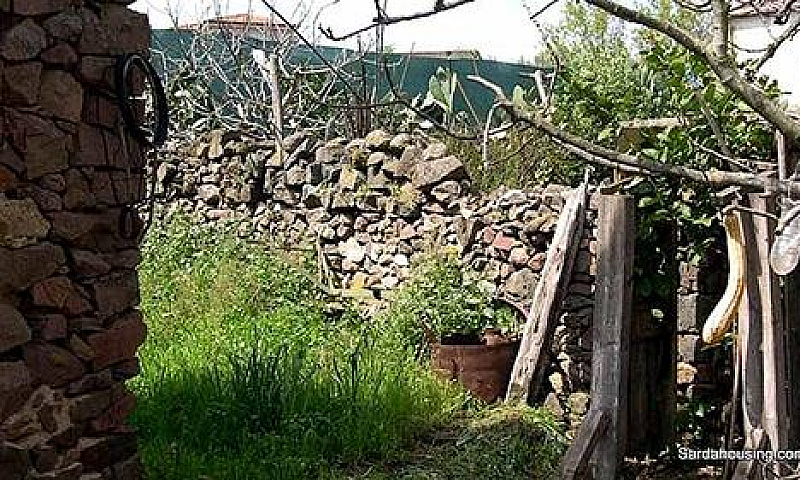 Oschiri Casa Il Mand...