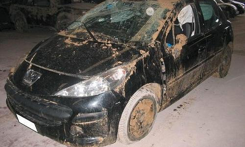 Peugeot 207 1.4 Hdi ...