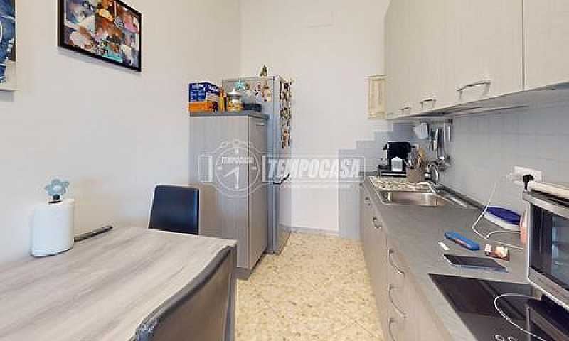 Trivani - Corso Alci...