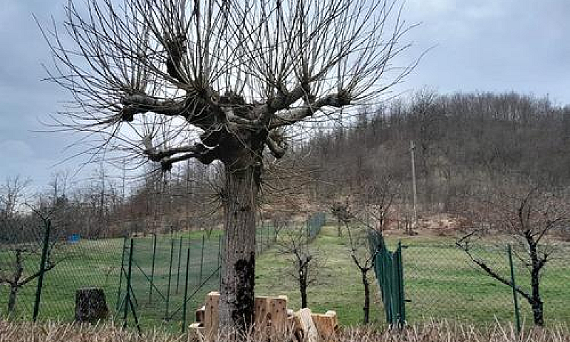 Appartamento Con Ter...