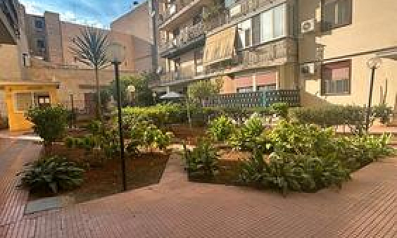 Piano Alto Zona Perp...
