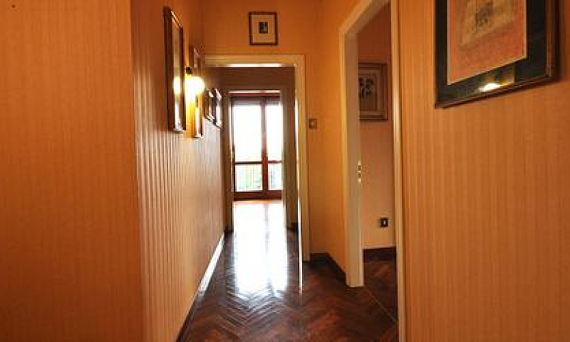 App.to Elegante E Si...