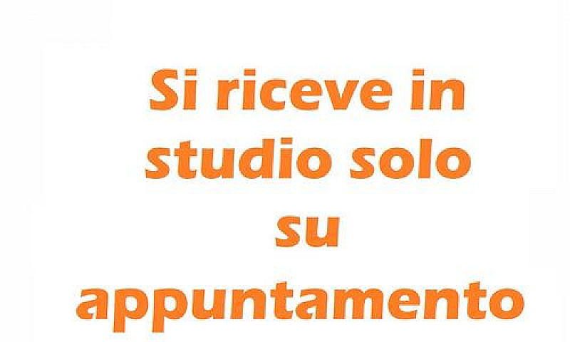 Asta 15/11/2024 - Ap...