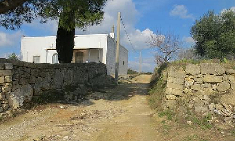Casale Con Terreno E...