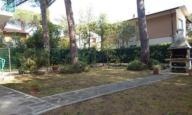M102-M.castagneto-Am...