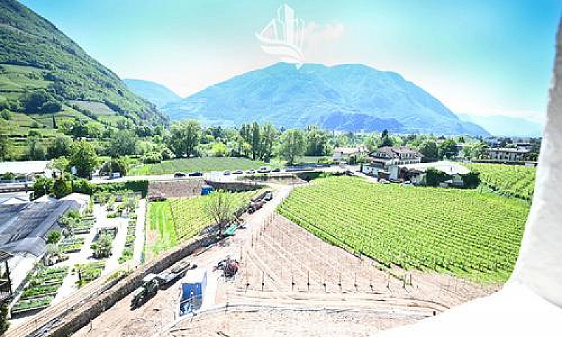 Bolzano: Quadrilocal...