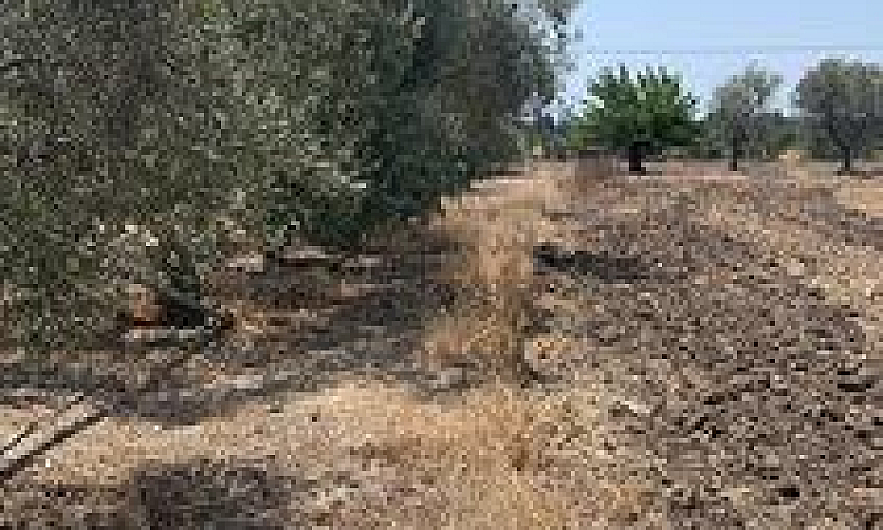 Casa,Villa,Terreno,M...