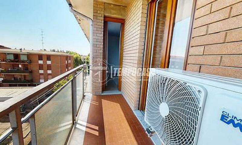 Rif: A514 - Carpi - ...