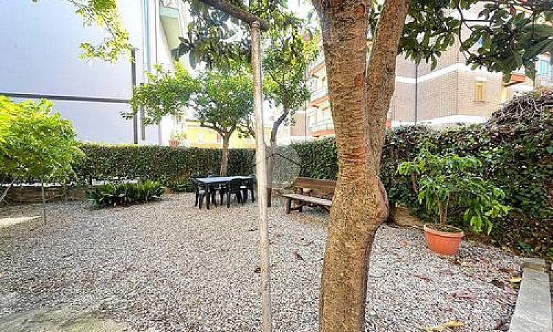 4 Locali A Viterbo...