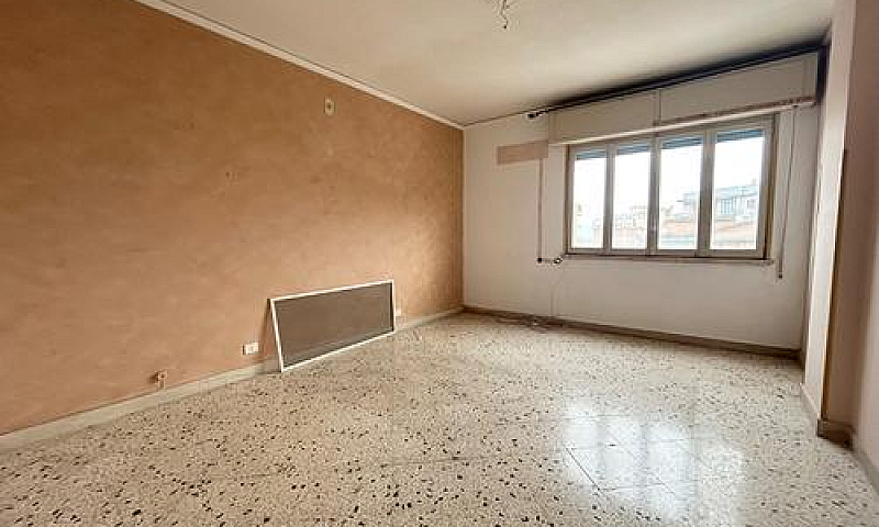 Zona Filisto-Quadriv...