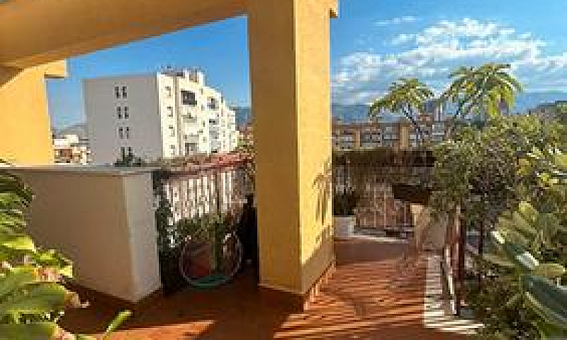 Piano Alto Zona Perp...