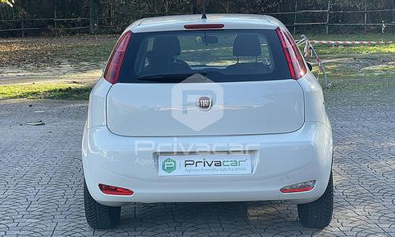 Fiat Punto 1.2 8V 5 ...