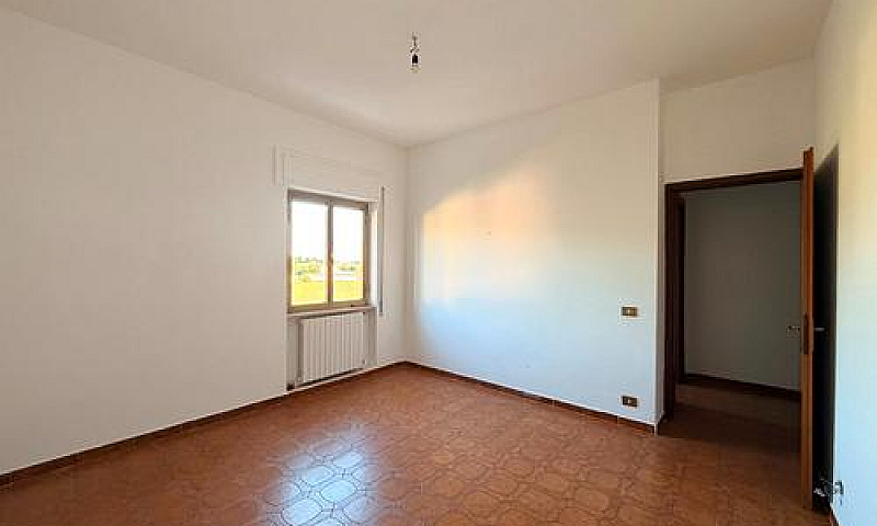Palestrina: Ampio Tr...