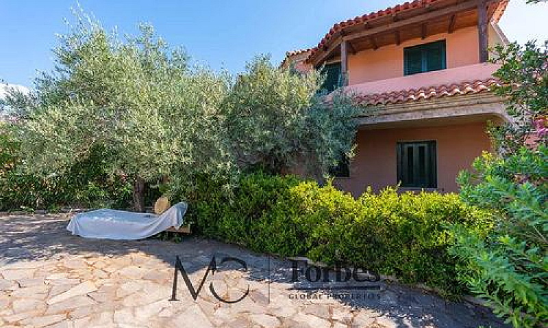 San Teodoro | Triloc...
