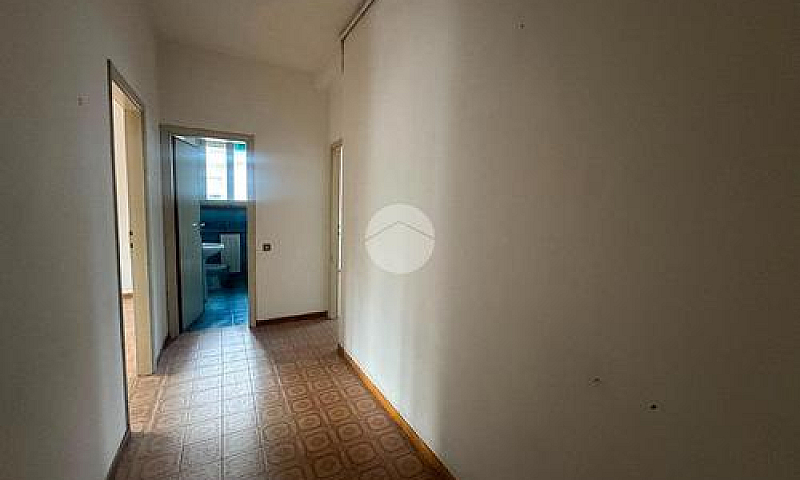 4 Locali A Camaiore...