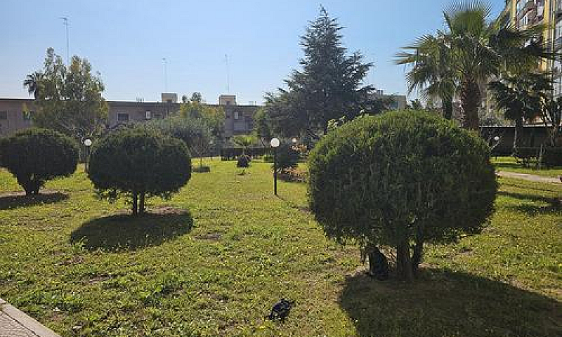 Trivani Vista Mare -...