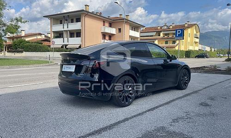 Tesla Model Y Perfor...
