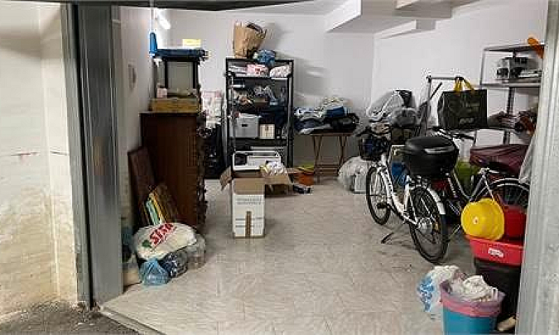 Trivani In Piccolo C...