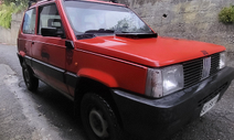 Panda 4X4 1989 Steyr...