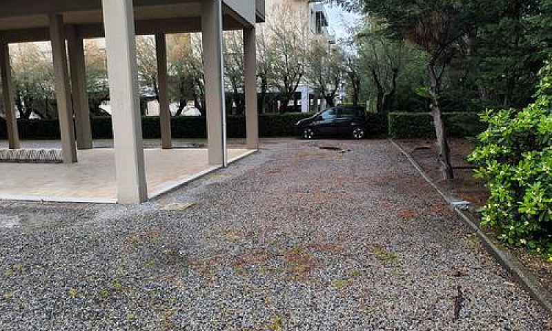 Appartamento 200Mt M...