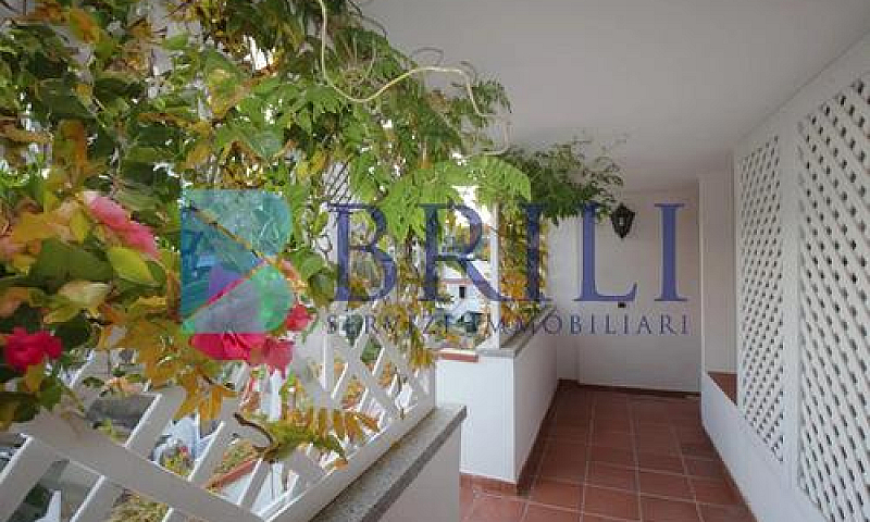 Capo Ceraso - Biloca...