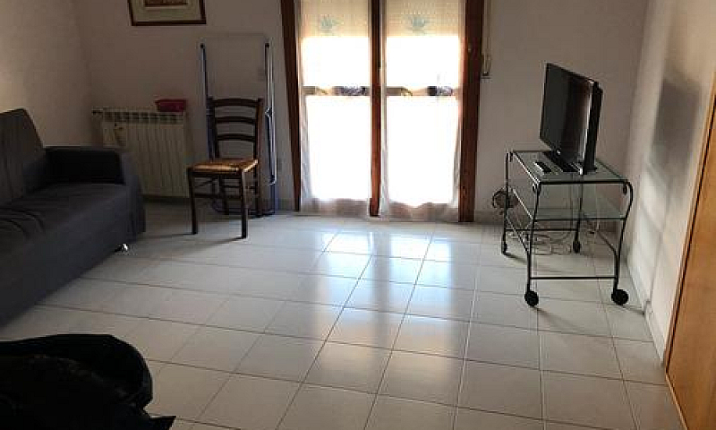 Donoratico Libero Da...