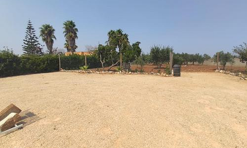 Terreno Agricolo(Fru...