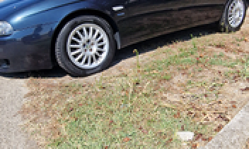 Alfa Romeo 156...