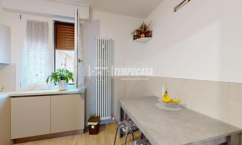 Rif: A514 - Carpi - ...