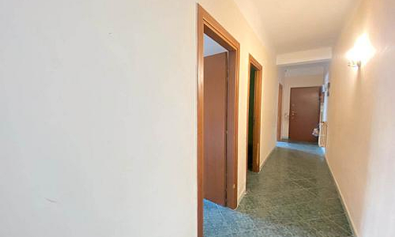 Rif. 64 Viale Magna ...