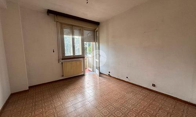4 Locali A Camaiore...