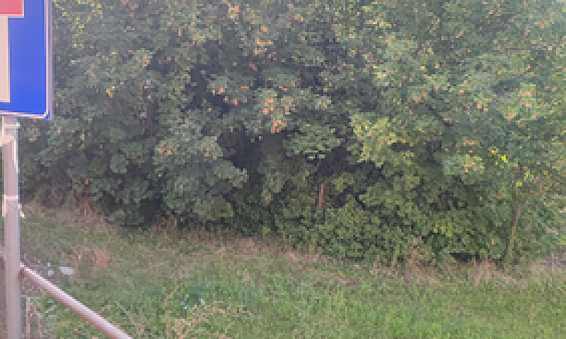 Bilocale + Terreno...