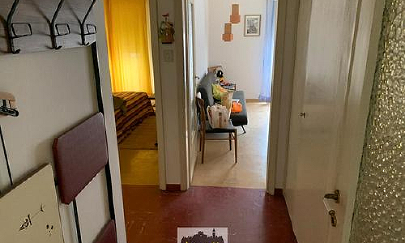 Grado - Città Giardi...