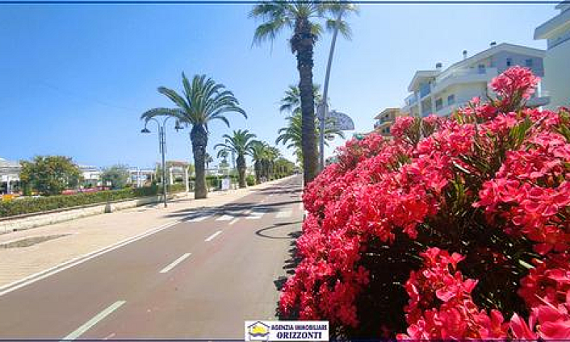 Tortoreto Lido: Rif....