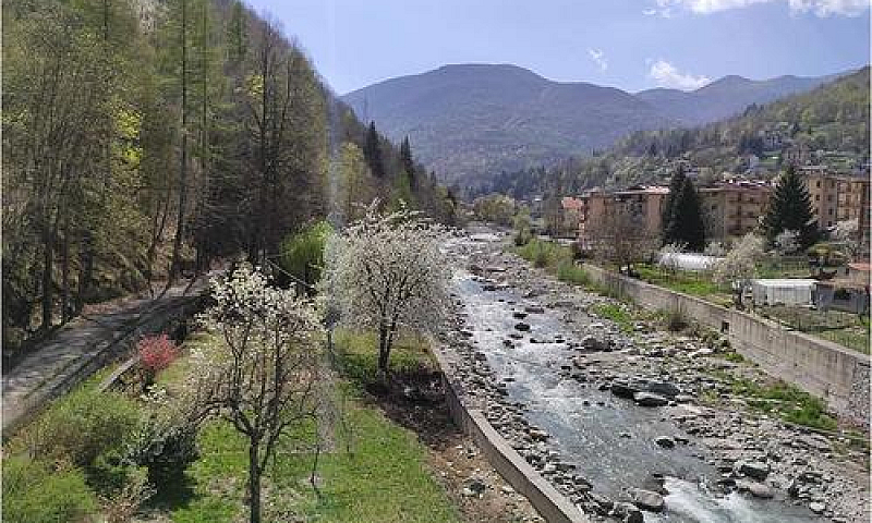 Appartamento Bilocal...