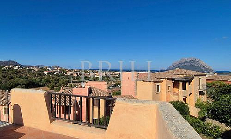 Porto San Paolo - Bi...
