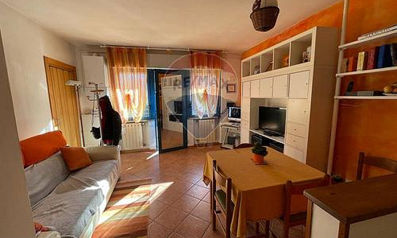 Appartamento - Bagni...