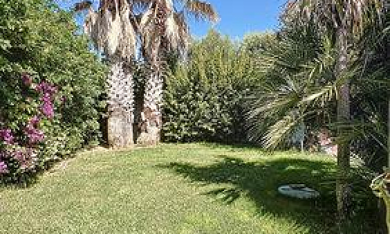 Villa Con Piscina E ...