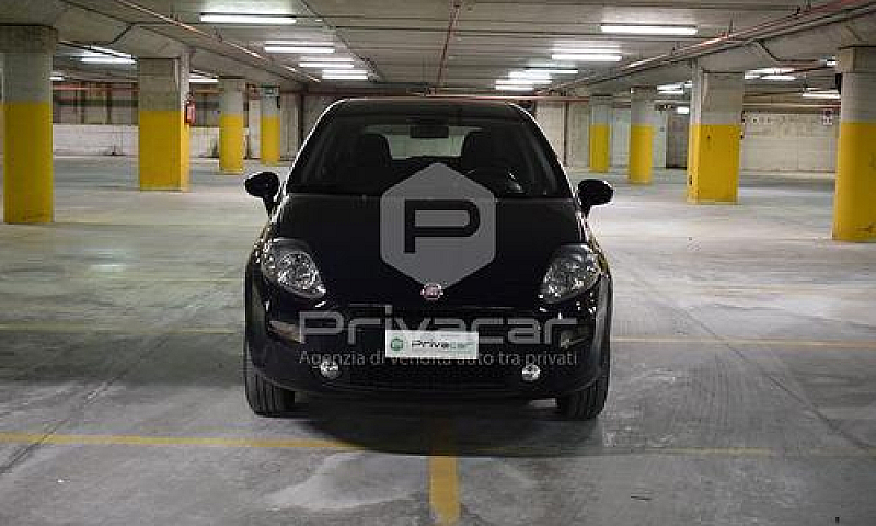 Fiat Punto 1.4 8V 5 ...