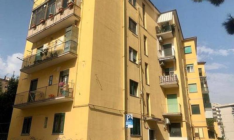 Via Pironti: Quadril...