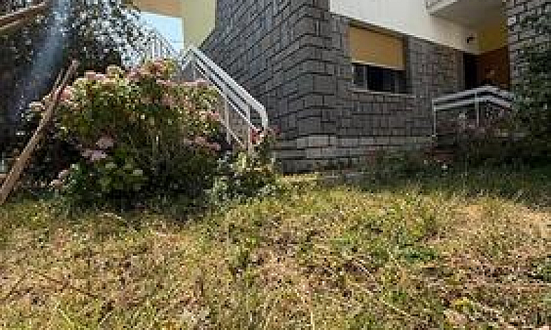 Villa Con Terreno A ...