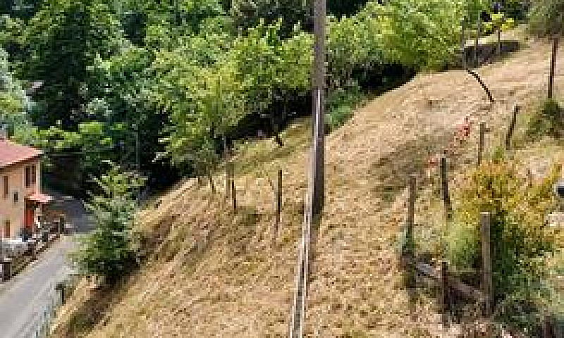 Palazzina Foreste Ca...