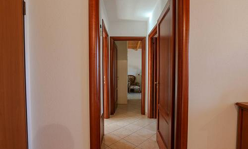 Appartamento - Olien...