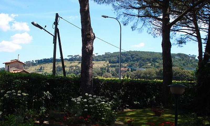 Immobile Nel Verde...