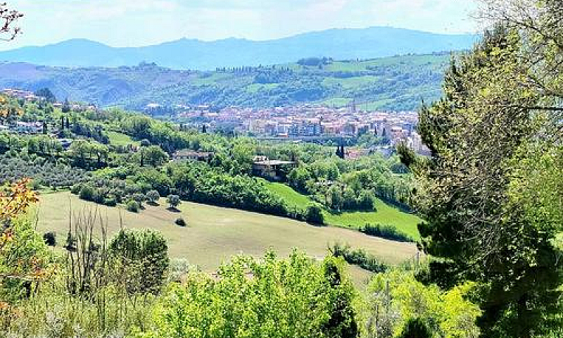 Appartamento - Teram...