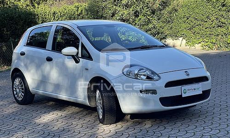 Fiat Punto 1.2 8V 5 ...