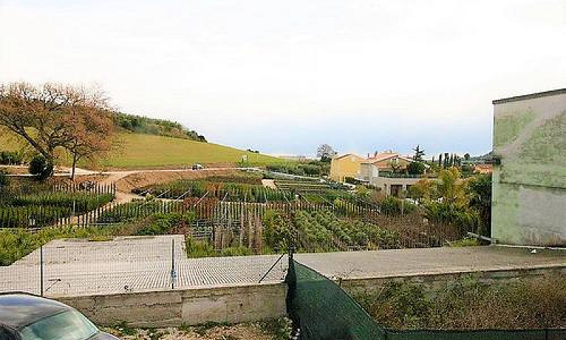 Appartamento - Massi...
